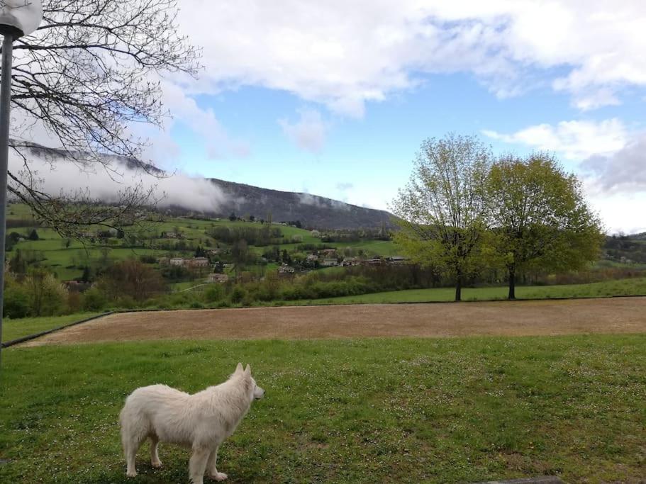 Logement Standing Wifi Vercors 'In Saint-Jean-en-Royans Zewnętrze zdjęcie