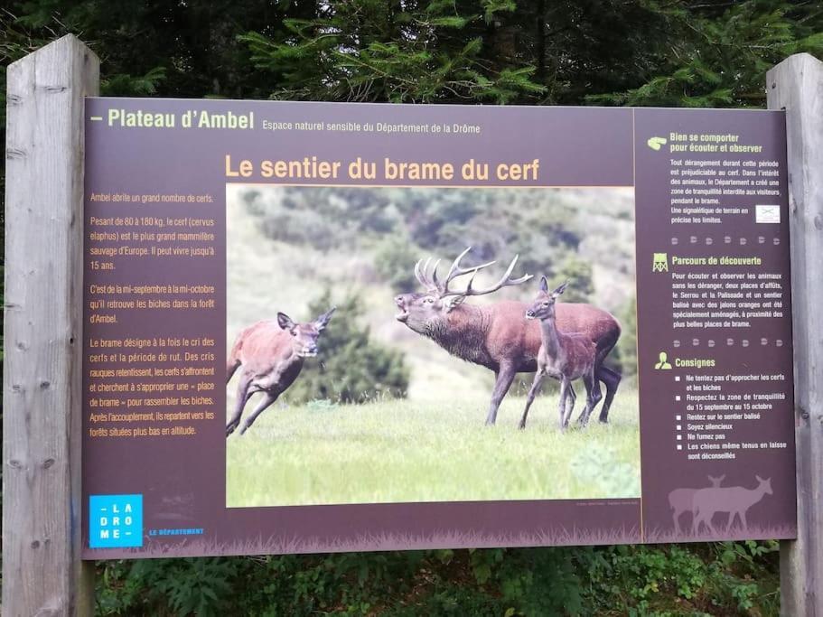 Logement Standing Wifi Vercors 'In Saint-Jean-en-Royans Zewnętrze zdjęcie